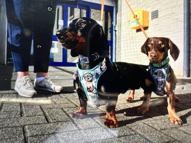 Hugo and Otto