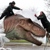 Song Hongbin and Gary Gilmour(right) from Blair Drummond Safari Park unwrap and check a Tyrannosaurus rex after it arrived at the park for their new exhibition