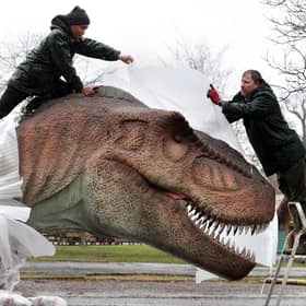 Song Hongbin and Gary Gilmour(right) from Blair Drummond Safari Park unwrap and check a Tyrannosaurus rex after it arrived at the park for their new exhibition