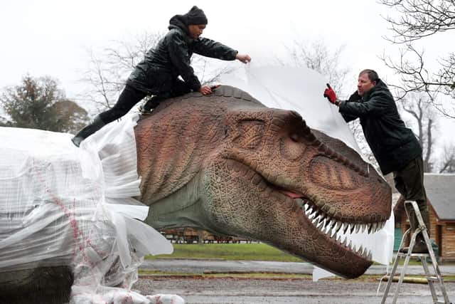 Song Hongbin and Gary Gilmour(right) from Blair Drummond Safari Park unwrap and check a Tyrannosaurus rex after it arrived at the park for their new exhibition