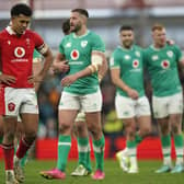 Wales' Rio Dyer appears dejected after Ireland defeated them comprehensively in Dublin.