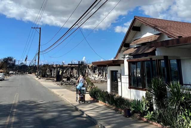 Rob Farrell and his Hawaiian wife Margaux own the restaurant Duckine, on the seafront in Lahaina -- one of the few premises which escaped the flames
