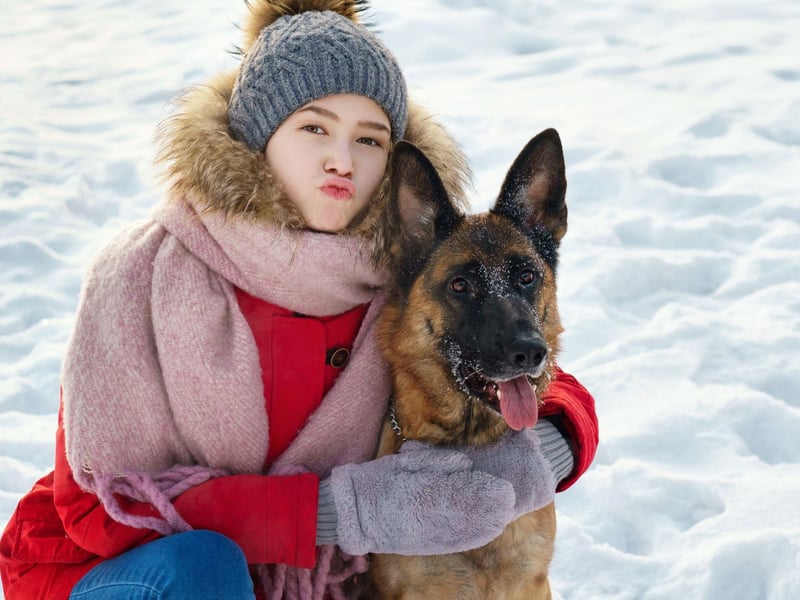 For those lucky enough to live in a property with a garden and plenty of space, the German Shepherd is perfect for a teenager that wants to have a loyal friend who would do anything to protect them from harm.