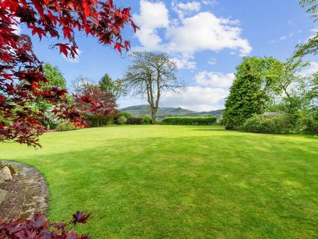 Rear garden.