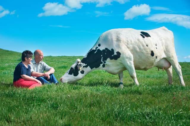 Wilma and David Finlay who have been running Cream o' Galloway for the last 30 years (pic: Wilma Finlay)