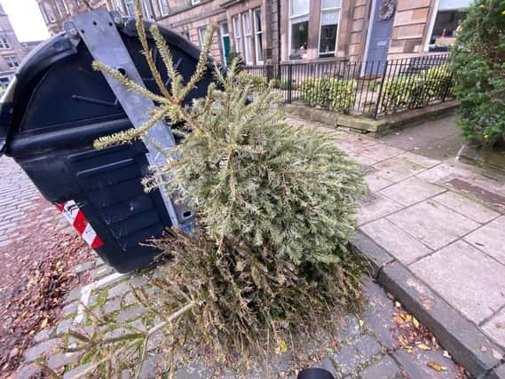 Christmas tree abandoned by the bins four days before the big day