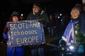 Anti-Brexit campaigners take part in a torchlight procession to the Scottish Parliament on the third anniversary of Brexit in January 2023 (Picture: Jeff J Mitchell/Getty Images)