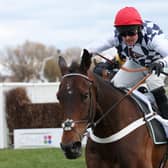 Nicky Henderson's Dusart carries top weight in the 2023 Scottish Grand National.