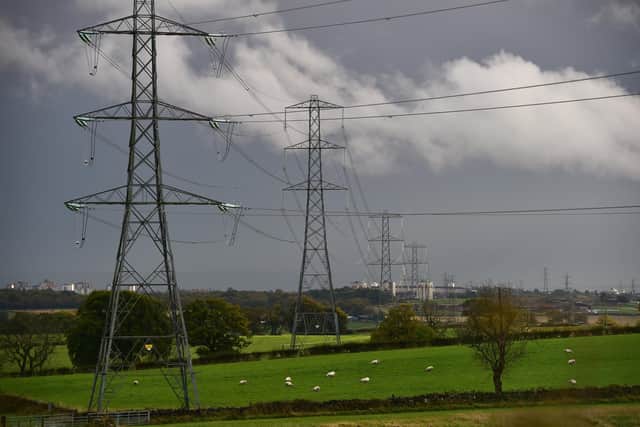 A reader say the UK's electricity network should be owned by the state (Picture: John Devlin)