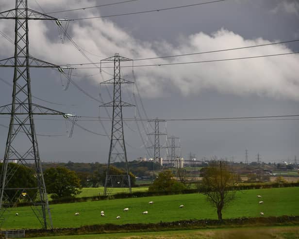 A reader say the UK's electricity network should be owned by the state (Picture: John Devlin)