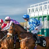New Jumps season start this week at Musselburgh Racecourse