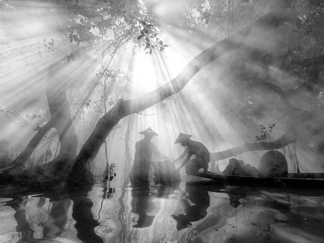 Sony World Photography Awards National and Regional Award Winners 2024