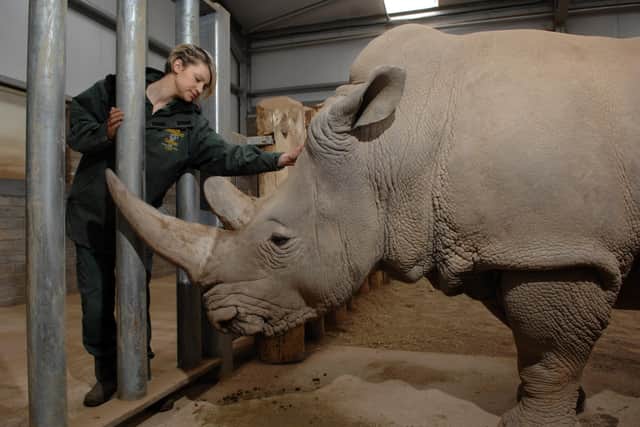 The rhino breeding programme is among one of the highlights of the past 50 years at the safari park.