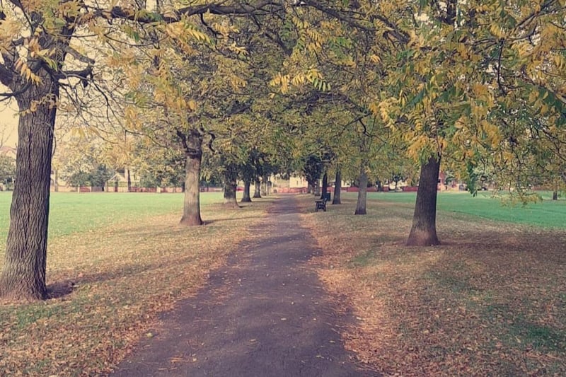 Sheralee Fenwick sent in this lovely autumn leaf lined path.