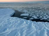 Parts of Eastern Antarctica have seen temperatures far above normal (Picture: Torsten Blackwood/pool/Getty Images)