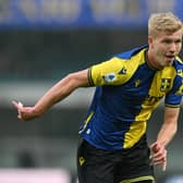 Fulham are said to be looking at Hellas Verona defender Josh Doig.