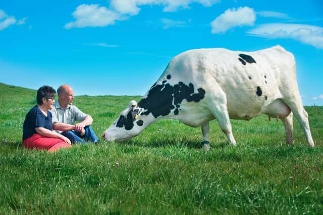 Wilma and David Finlay who had been running Cream o' Galloway for the last 30 years are now owners of the Ethical Dairy.