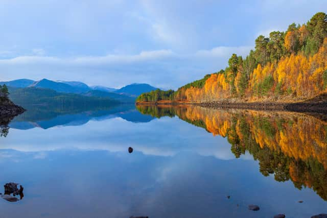 A massive rewilding project - Affric Highlands, led by conservation charity Trees for Life - will restore nature across a network of landholdings potentially covering an area of more than 500,000 acres, stretching from Loch Ness across the central Highlands to Kintail in the west, and encompassing Glens Cannich, Affric, Moriston and Shiel. Picture: Grant Willoughby