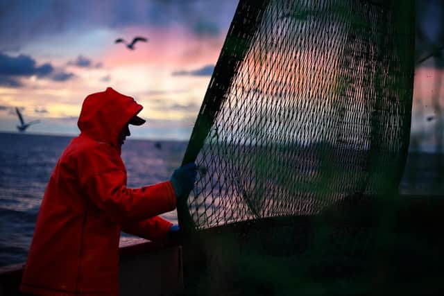 MSPs at the Scottish Parliament’s Rural Affairs and Islands Committee are due to hear evidence regarding the continuation of a special order which outlaws fishing within a designated area of the Clyde during spawning time to allow cod populations to recover. Picture: Jeff J Mitchell/Getty Images