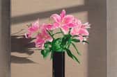 Detail from Lillies, 2025 by Michael Wilkinson PIC: Patrick Jameson