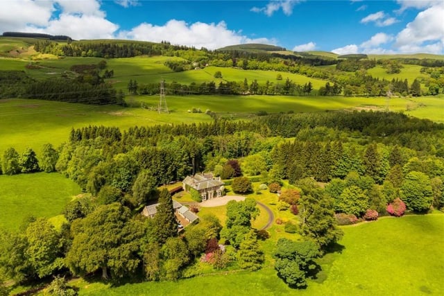 Aerial view of house and grounds.