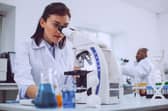 Scientist working with her microscope