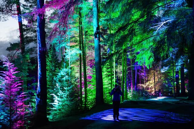 The Enchanted Forest sound and light show is now said to be worth £10.38m to the Highland Perthshire economy. Picture: Lesley Martin