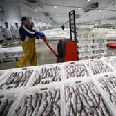 Fishermen bring in their fresh catch at Peterhead Fish Market in Aberdeenshire (Picture: Duncan McGlynn/Getty Images)