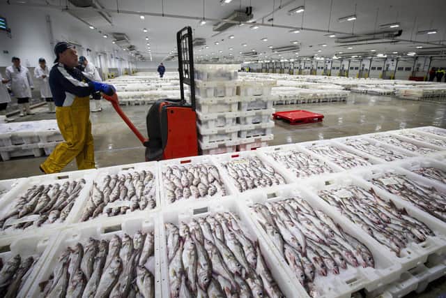 Fishermen bring in their fresh catch at Peterhead Fish Market in Aberdeenshire (Picture: Duncan McGlynn/Getty Images)
