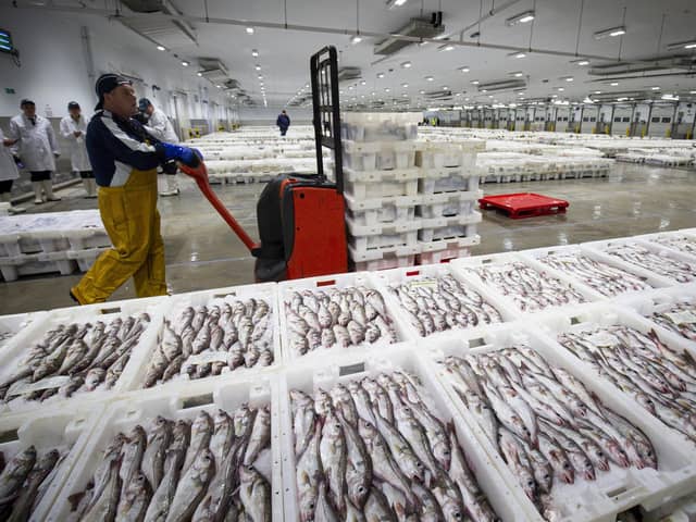 Fishermen bring in their fresh catch at Peterhead Fish Market in Aberdeenshire (Picture: Duncan McGlynn/Getty Images)
