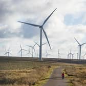 A reader strongly agrees with Paul Wilson's assessment of wind and solar power (Picture: John Devlin)