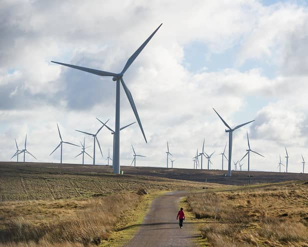 A reader strongly agrees with Paul Wilson's assessment of wind and solar power (Picture: John Devlin)