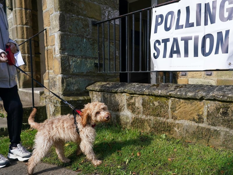 A dog waits outside a polling station in Osmotherley