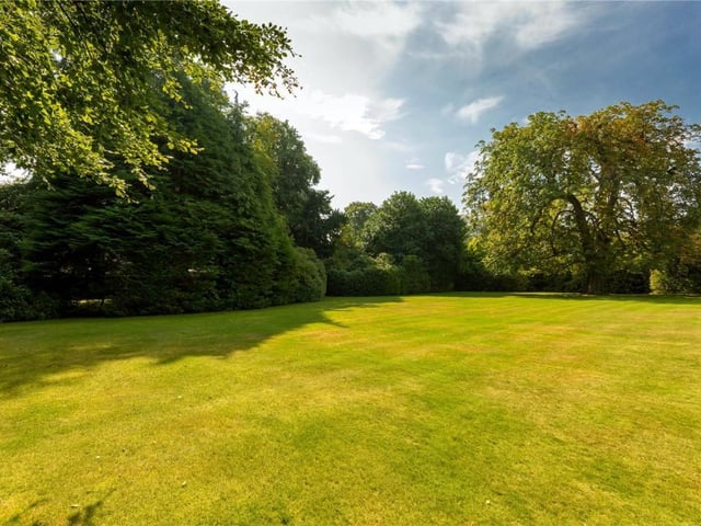 Front garden.
