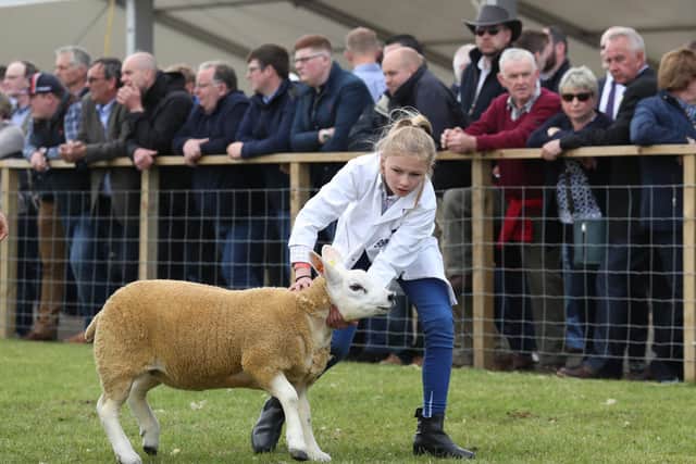 A Texel sheep during judging at the the Royal Highland Show being held at Ingliston in Edinburgh. PRESS ASSOCIATION Photo. Picture date:Friday June 21, 2019. See PA story SCOTLAND Show. Photo credit should read: Andrew Milligan/PA Wire