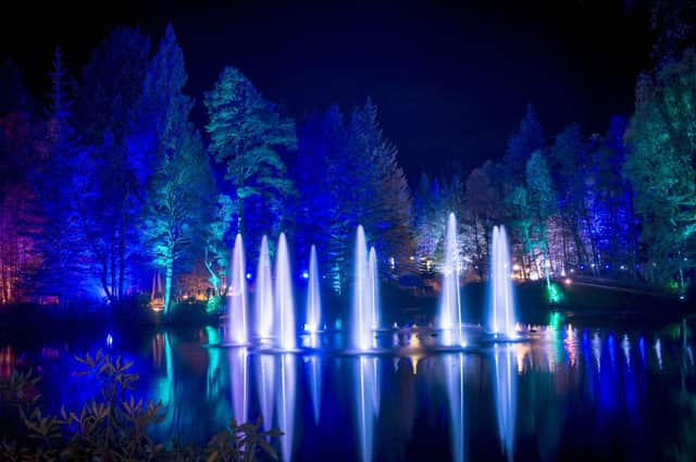 Light shows like The Enchanted Forest may be supported through the new events fund.