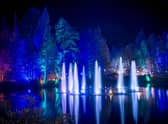 Light shows like The Enchanted Forest may be supported through the new events fund.