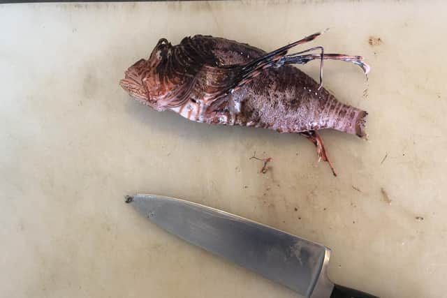 Filleting a lionfish during a cooking lesson in Curacao. Pic: Lauren Taylor/PA.