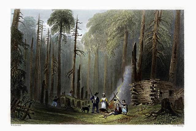 Colonists were promised log homes by the riverbank on arrival at the New Kincardineshire colony in New Brunswick but many were met with tents and hard graft of clearing thick woodland on arrival. PIC: CC.