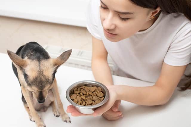 If your dog is refusing its food, a few simple tips can help to solve the problem.
