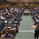 An SNP MSP has suggested his colleagues at Westminster should not take up their seats (Picture: Parliament TV/PA