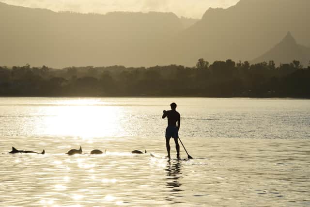 Dolphins in Tamarin bay play as a man on a stand-up paddleboard looks on. Pic: PA Photo/Veranda Tamarin.