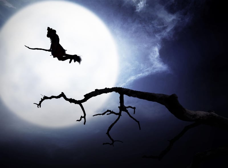 Tam O’Shanter was first published in 1791 and, running at 228 lines, is one of Burns' longer poems. The epic work tells the story of a drunken night in Ayr and a terrifying encounter with witches and warlocks at Alloway Kirkyard. The dramatic ending sees Tam escaping the witches by riding over the Brig o’Doon - knowing they are unable to cross flowing water.