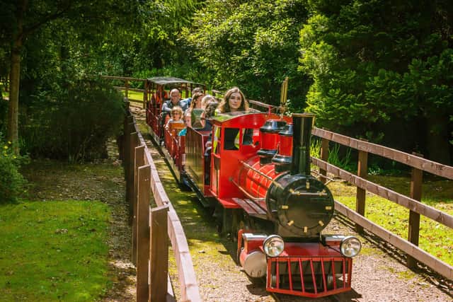 Rio Grande Miniature Railway