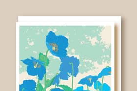 Himalayan Blue Poppies