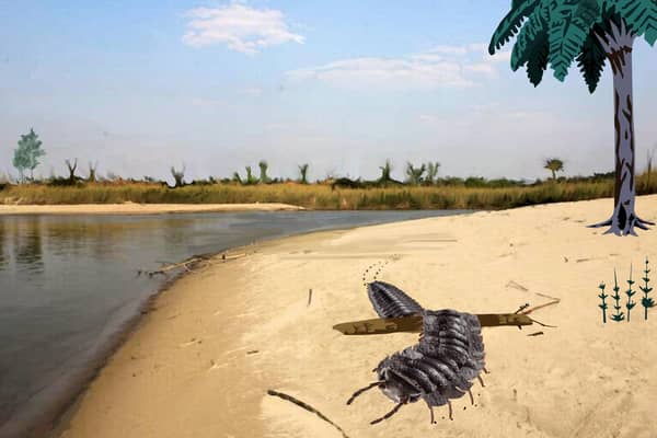 An illustration issued by Cambridge University of an Arthropleura. A fluke fossil find has revealed giant millipedes as big as cars roamed Northern England. Picture: University of Cambridge/PA Wire