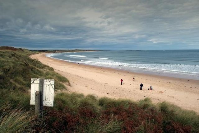 Undoubtedly one of Northumberland's best beaches, Embleton Bay offers great dog walking territory and views to Dunstanburgh Castle with a fine links golf course too.
