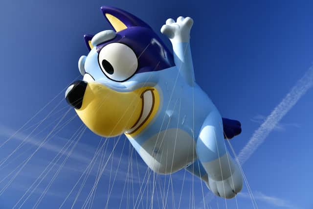 Bluey balloon by BBC Studios taking a test flight during 96th Macy's Thanksgiving Day Parade in New Jersey. (Photo by Eugene Gologursky/Getty Images for Macy's Inc.)