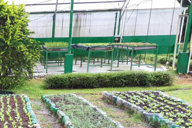 Forget Shareka, pictured during her time at Earth University in Costa Rica, where she studied agricultural sciences and natural resources management with support from Camfed and the Mastercard Foundation