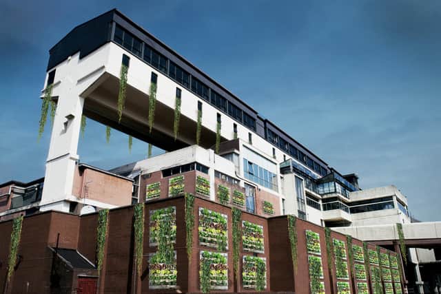 Empty and redundant buildings are expected to be transformed under the Dandelion project.